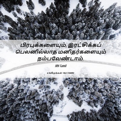 Picture 06 - சங்கீதங்கள் 146:3 TAMIRV - பிரபுக்களையும், - Bible Verse Picture