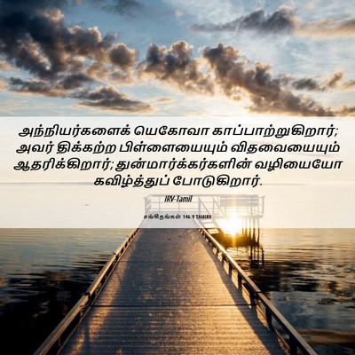Picture 06 - சங்கீதங்கள் 146:9 TAMIRV - அந்நியர்களைக் - Bible Verse Picture