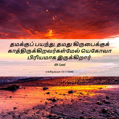 Picture 06 - சங்கீதங்கள் 147:11 TAMIRV - தமக்குப் பயந்து, - Bible Verse Picture