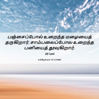 Picture 06 - சங்கீதங்கள் 147:16 TAMIRV - பஞ்சைப்போல் - Bible Verse Picture