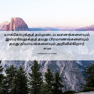 Picture 06 - சங்கீதங்கள் 147:19 TAMIRV - யாக்கோபுக்குத் - Bible Verse Picture