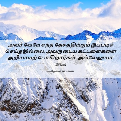 Picture 06 - சங்கீதங்கள் 147:20 TAMIRV - அவர் வேறே எந்த - Bible Verse Picture