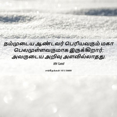 Picture 06 - சங்கீதங்கள் 147:5 TAMIRV - நம்முடைய ஆண்டவர் - Bible Verse Picture