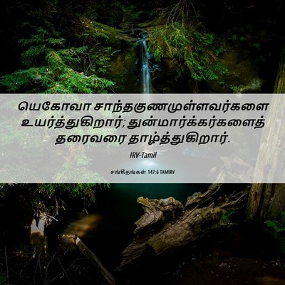 Picture 06 - சங்கீதங்கள் 147:6 TAMIRV - யெகோவா - Bible Verse Picture