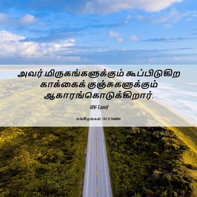 Picture 06 - சங்கீதங்கள் 147:9 TAMIRV - அவர் - Bible Verse Picture