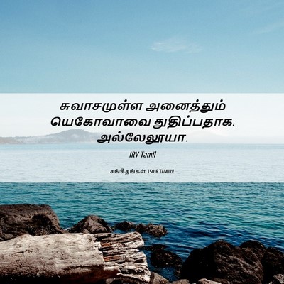Picture 06 - சங்கீதங்கள் 150:6 TAMIRV - சுவாசமுள்ள - Bible Verse Picture