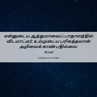 Picture 06 - சங்கீதங்கள் 16:10 TAMIRV - என்னுடைய - Bible Verse Picture