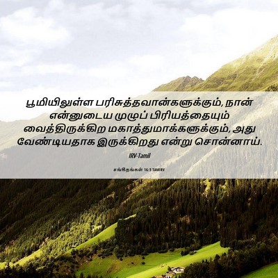 Picture 06 - சங்கீதங்கள் 16:3 TAMIRV - பூமியிலுள்ள - Bible Verse Picture