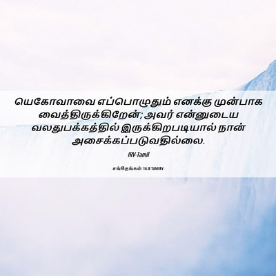 Picture 06 - சங்கீதங்கள் 16:8 TAMIRV - யெகோவாவை - Bible Verse Picture