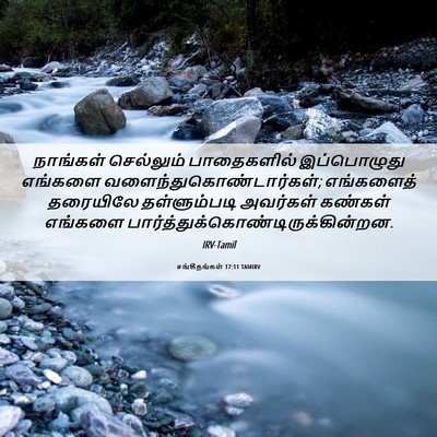 Picture 06 - சங்கீதங்கள் 17:11 TAMIRV - நாங்கள் செல்லும் - Bible Verse Picture