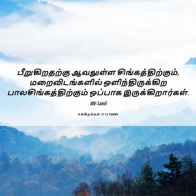Picture 06 - சங்கீதங்கள் 17:12 TAMIRV - பீறுகிறதற்கு - Bible Verse Picture