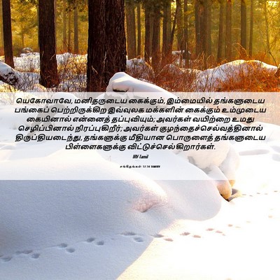 Picture 06 - சங்கீதங்கள் 17:14 TAMIRV - யெகோவாவே, - Bible Verse Picture