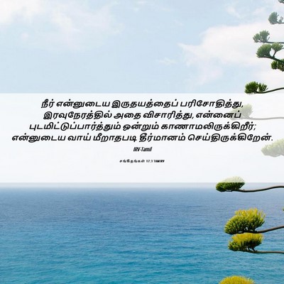 Picture 06 - சங்கீதங்கள் 17:3 TAMIRV - நீர் என்னுடைய - Bible Verse Picture