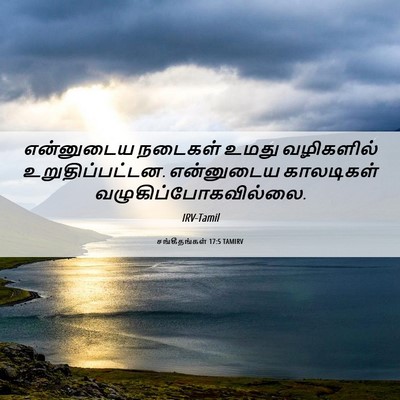 Picture 06 - சங்கீதங்கள் 17:5 TAMIRV - என்னுடைய நடைகள் - Bible Verse Picture