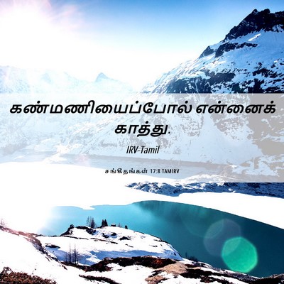 Picture 06 - சங்கீதங்கள் 17:8 TAMIRV - கண்மணியைப்போல் - Bible Verse Picture