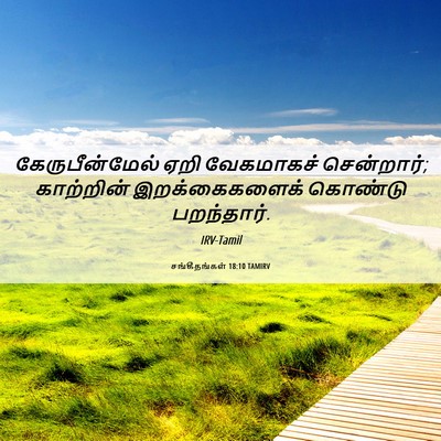 Picture 06 - சங்கீதங்கள் 18:10 TAMIRV - கேருபீன்மேல் ஏறி - Bible Verse Picture