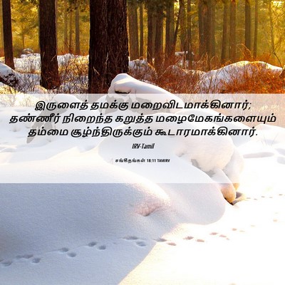 Picture 06 - சங்கீதங்கள் 18:11 TAMIRV - இருளைத் தமக்கு - Bible Verse Picture