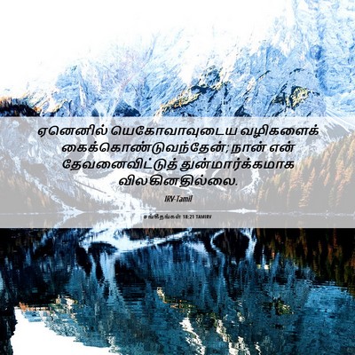 Picture 06 - சங்கீதங்கள் 18:21 TAMIRV - ஏனெனில் - Bible Verse Picture