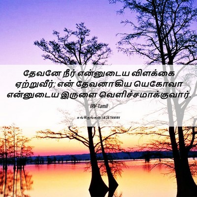 Picture 06 - சங்கீதங்கள் 18:28 TAMIRV - தேவனே நீர் - Bible Verse Picture