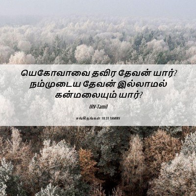 Picture 06 - சங்கீதங்கள் 18:31 TAMIRV - யெகோவாவை தவிர - Bible Verse Picture
