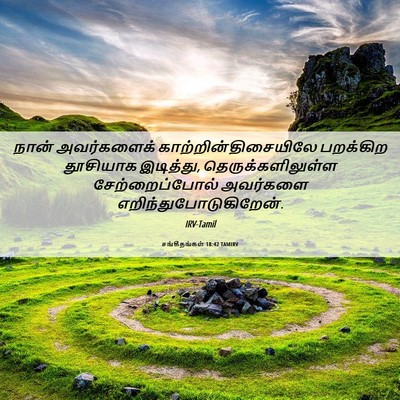 Picture 06 - சங்கீதங்கள் 18:42 TAMIRV - நான் அவர்களைக் - Bible Verse Picture