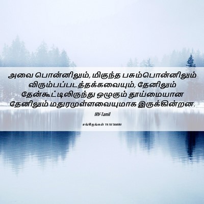 Picture 06 - சங்கீதங்கள் 19:10 TAMIRV - அவை பொன்னிலும், - Bible Verse Picture
