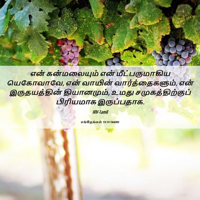 Picture 06 - சங்கீதங்கள் 19:14 TAMIRV - என் கன்மலையும் - Bible Verse Picture