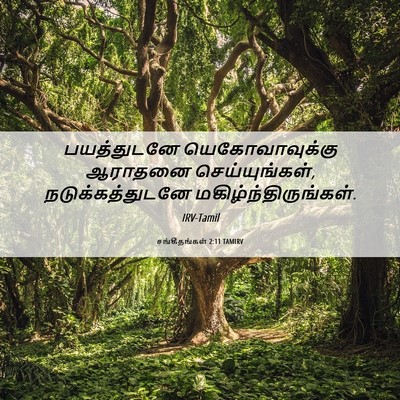 Picture 06 - சங்கீதங்கள் 2:11 TAMIRV - பயத்துடனே - Bible Verse Picture