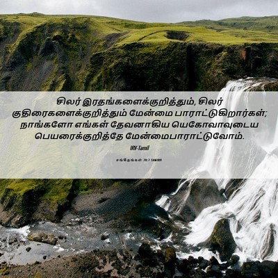 Picture 06 - சங்கீதங்கள் 20:7 TAMIRV - சிலர் - Bible Verse Picture