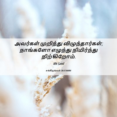 Picture 06 - சங்கீதங்கள் 20:8 TAMIRV - அவர்கள் முறிந்து - Bible Verse Picture
