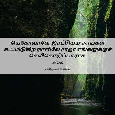 Picture 06 - சங்கீதங்கள் 20:9 TAMIRV - யெகோவாவே, - Bible Verse Picture