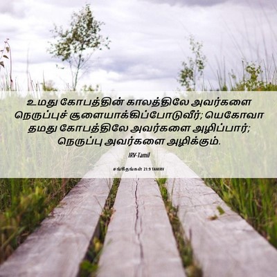 Picture 06 - சங்கீதங்கள் 21:9 TAMIRV - உமது கோபத்தின் - Bible Verse Picture