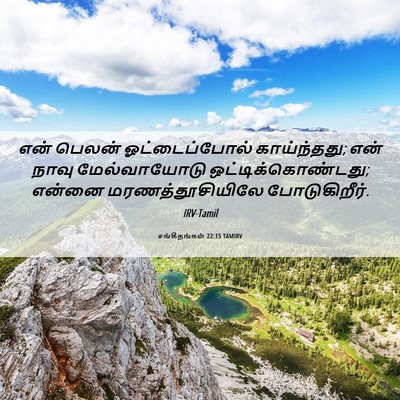 Picture 06 - சங்கீதங்கள் 22:15 TAMIRV - என் பெலன் - Bible Verse Picture