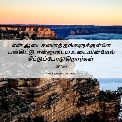 Picture 06 - சங்கீதங்கள் 22:18 TAMIRV - என் ஆடைகளைத் - Bible Verse Picture
