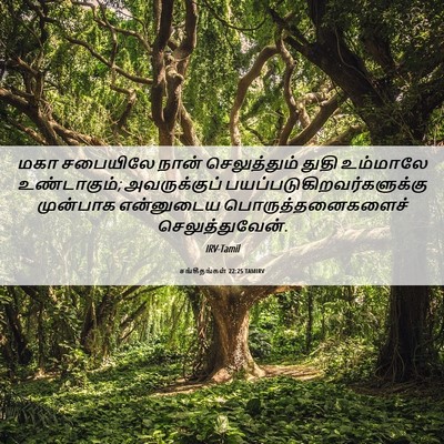 Picture 06 - சங்கீதங்கள் 22:25 TAMIRV - மகா சபையிலே நான் - Bible Verse Picture
