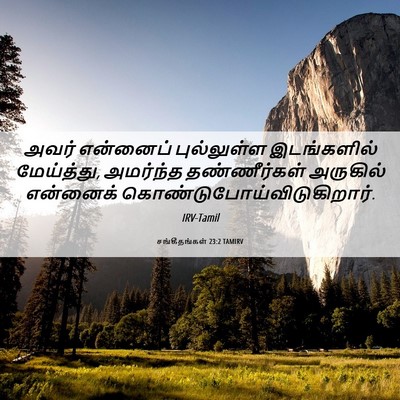 Picture 06 - சங்கீதங்கள் 23:2 TAMIRV - அவர் என்னைப் - Bible Verse Picture