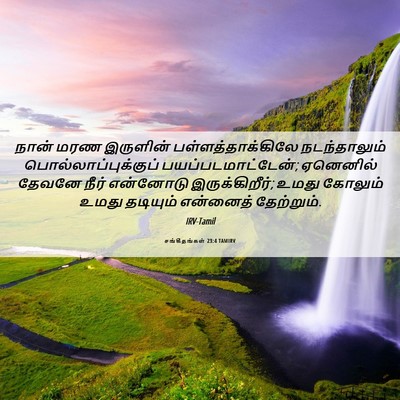 Picture 06 - சங்கீதங்கள் 23:4 TAMIRV - நான் மரண இருளின் - Bible Verse Picture