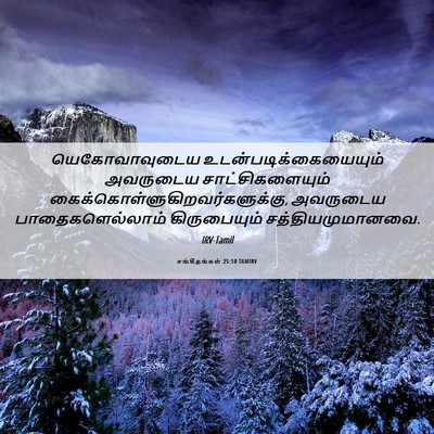 Picture 06 - சங்கீதங்கள் 25:10 TAMIRV - யெகோவாவுடைய - Bible Verse Picture