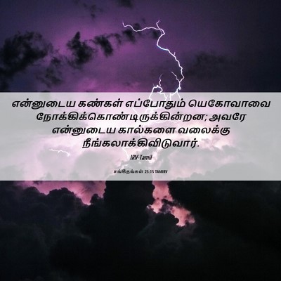 Picture 06 - சங்கீதங்கள் 25:15 TAMIRV - என்னுடைய கண்கள் - Bible Verse Picture