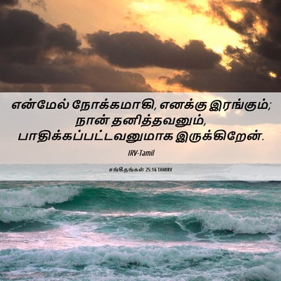 Picture 06 - சங்கீதங்கள் 25:16 TAMIRV - என்மேல் - Bible Verse Picture