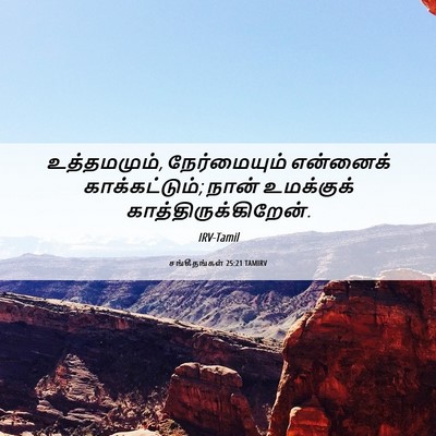 Picture 06 - சங்கீதங்கள் 25:21 TAMIRV - உத்தமமும், - Bible Verse Picture
