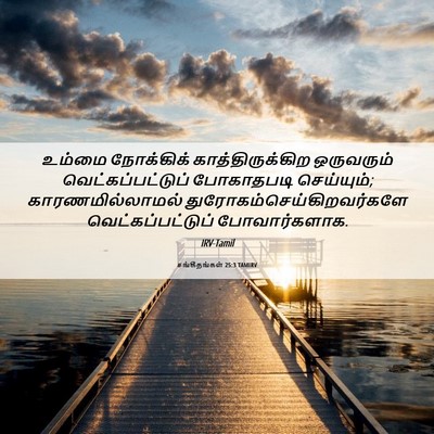 Picture 06 - சங்கீதங்கள் 25:3 TAMIRV - உம்மை நோக்கிக் - Bible Verse Picture