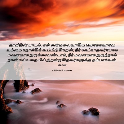 Picture 06 - சங்கீதங்கள் 28:1 TAMIRV - தாவீதின் பாடல். - Bible Verse Picture