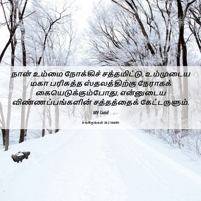 Picture 06 - சங்கீதங்கள் 28:2 TAMIRV - நான் உம்மை - Bible Verse Picture
