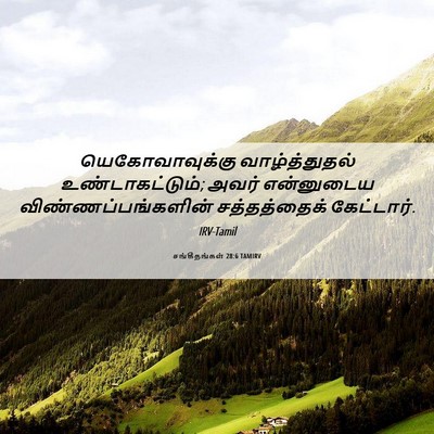 Picture 06 - சங்கீதங்கள் 28:6 TAMIRV - யெகோவாவுக்கு - Bible Verse Picture