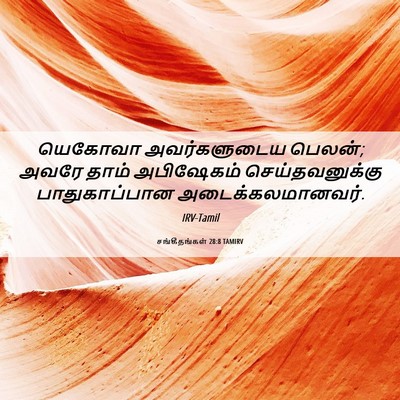 Picture 06 - சங்கீதங்கள் 28:8 TAMIRV - யெகோவா அவர்களுடைய - Bible Verse Picture
