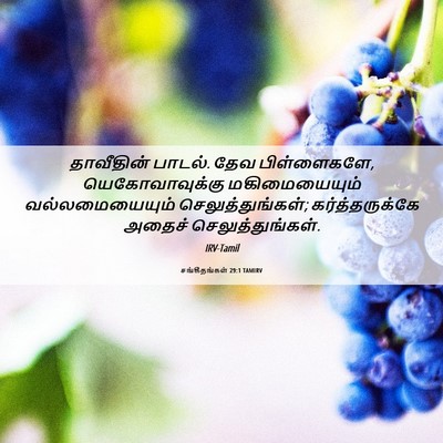 Picture 06 - சங்கீதங்கள் 29:1 TAMIRV - தாவீதின் பாடல். - Bible Verse Picture