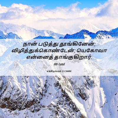 Picture 06 - சங்கீதங்கள் 3:5 TAMIRV - நான் படுத்து - Bible Verse Picture
