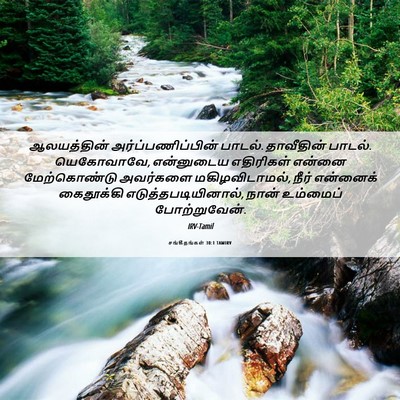 Picture 06 - சங்கீதங்கள் 30:1 TAMIRV - ஆலயத்தின் - Bible Verse Picture