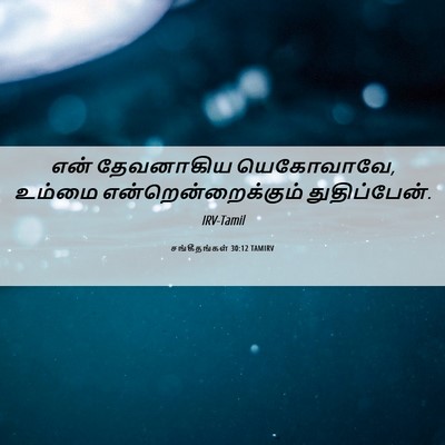 Picture 06 - சங்கீதங்கள் 30:12 TAMIRV - என் தேவனாகிய - Bible Verse Picture